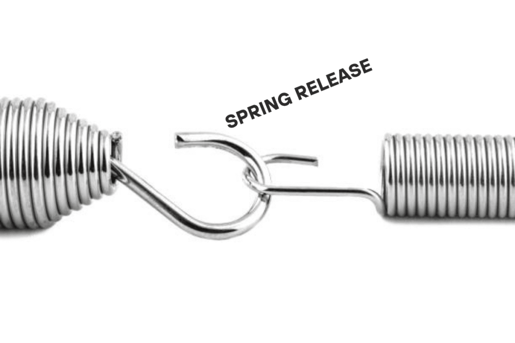 An image of Pixel 9a Spring Release