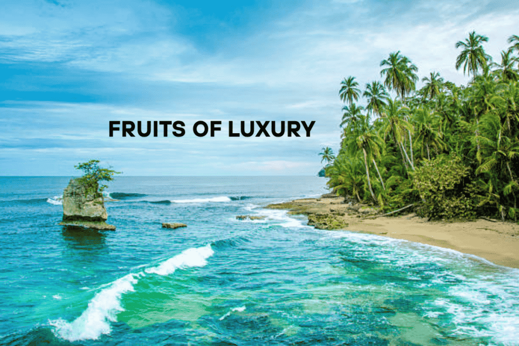 An image of Paradise Fruits of Luxury